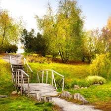 Nana Sutresna avatar